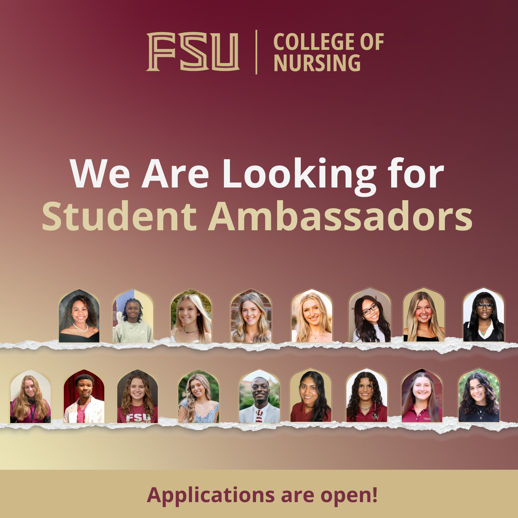 FSU Nursing Student Ambassador